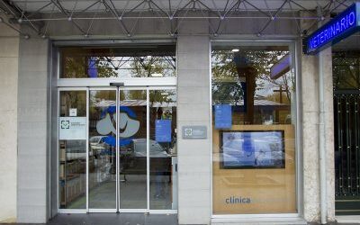 Qué significa tener el logotipo de la Calidad Certificada en la puerta de nuestras clínicas