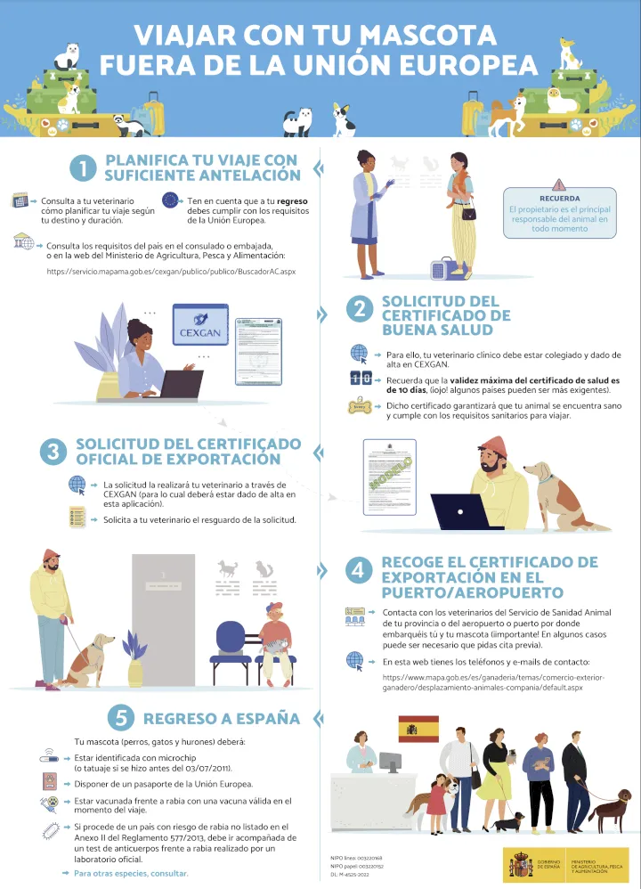 Qué necesitas para viajar con tu mascota Qué necesitas para viajar con tu mascota