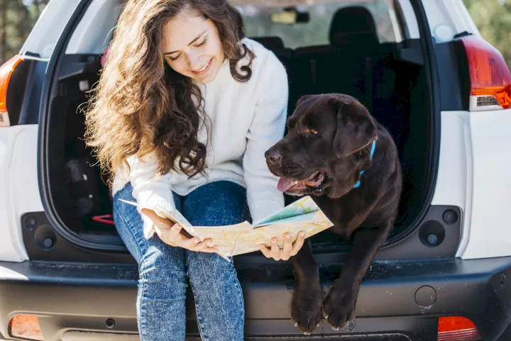La displasia de codo es más común en los perros de tamaño grande o gigante