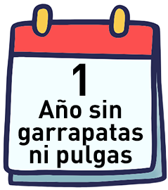 1 año
