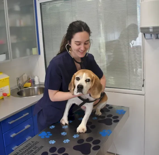 Especialista en medicina preventiva veterinaria Especialista en medicina preventiva veterinaria